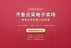 齐鲁云采电子卖场莱州政府采购网上商城常态化供应商入驻招商