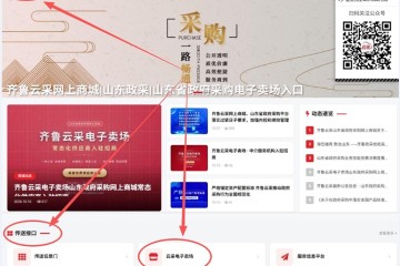 齐鲁云采（山东省政府采购网上商城）供应商登录电子卖场操作指南